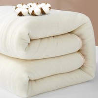 20点开始：BLISS 百丽丝 新疆长绒棉保暖棉花被 1.2m
