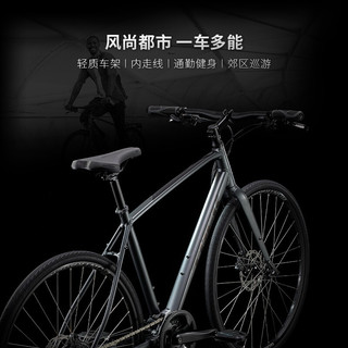 TREK 崔克 FX2 公路自行车 18速 700x32C