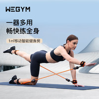 We Gym WegymWEGYM 智能拉力器 AI智能私教 Rally x1