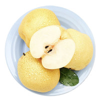 京东生鲜 陕西蒲城酥梨4.5-5斤大果 单果200g+ 梨子生鲜新鲜水果产地直发