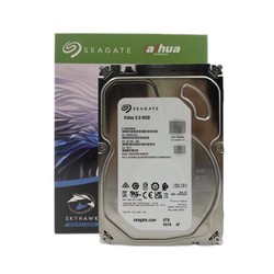 da hua 大华 4TB机械垂直硬盘SATA接口监控录像机专用硬盘