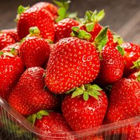 草莓 四川大凉山奶油草莓 4盒 单果12g 净重2.3斤以上 露天草莓礼盒装 新鲜水果