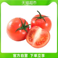 优选西红柿番茄蕃茄500g/份蔬菜新鲜食用美味混合水果饱满多汁