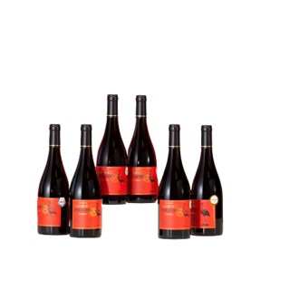 如饴火烈鸟酒系列红鸟黑皮诺智利进口干红葡萄酒750ml*6整箱装