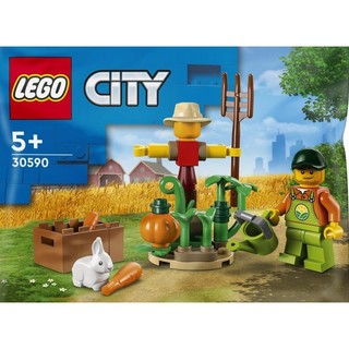 LEGO 乐高 City城市系列 30590 稻草人 拼砌包