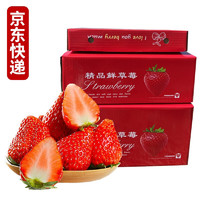 PLUS会员：静益乐源 大凉山红颜草莓 净重5斤大果礼盒装单果18-25g