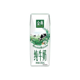 SATINE 金典 京东PLUS会员联名款 纯牛奶 250ml*16盒*4箱