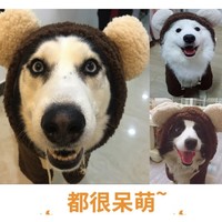 Hoopet 大型犬宠物衣服 可爱狗熊两脚装 6XL-(建议50-60斤)