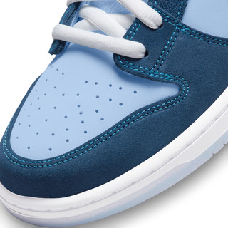 NIKE 耐克 Sb Dunk Low Prm Wss 男子运动板鞋 DX5549