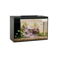 起源纪 智能鱼缸Pro 超白玻璃中小型15L桌面鱼缸 内置过滤氛围感灯光