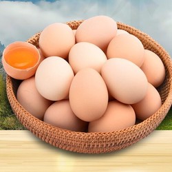 惠寻 谷物蛋 40枚 共1.8kg