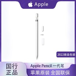 Apple 苹果 2022新品 Pencil 1代笔 适用iPad10代手写笔 带转换器