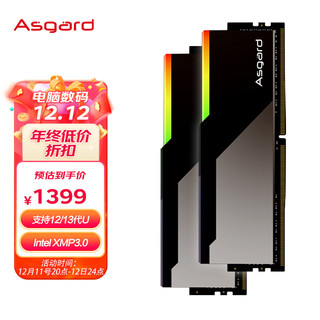 Asgard 阿斯加特 博拉琪 DDR5 6800MHz 台式机内存条 32GB(16G*2) 灯条