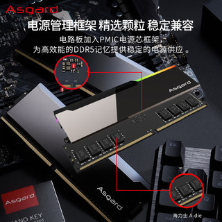 Asgard 阿斯加特 博拉琪 DDR5 6800MHz 台式机内存条 32GB(16G*2) 灯条