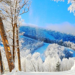 赴一场长白山之约！长白山万达度假区10店2晚连住套餐（含早+滑雪+温泉+水乐园+下午茶+机场接送巴士）