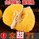 台湾黄金葡萄柚净重4.8斤单果320g起纯甜爆汁