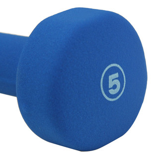 PROIRON 浸塑哑铃 PRO-ZY-JS5 蓝色 2.25kg