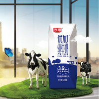 Bright 光明 [苏宁优选]光明全脂优加纯牛奶200ml*12盒生牛乳营养健康纯奶2060