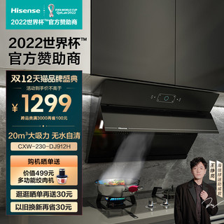 Hisense 海信 CWX-230-DJ912H  侧吸式油烟机