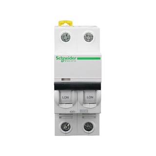 Schneider Electric 施耐德电气 iC65系列 微型断路器 2P