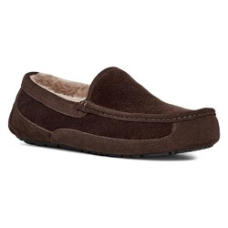 UGG Ascot Corduroy II Driver