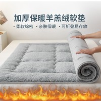 Dohia 多喜爱 大豆澳毛羊羔暖绒软垫加厚保暖床垫垫子家用学生宿舍床垫床褥子