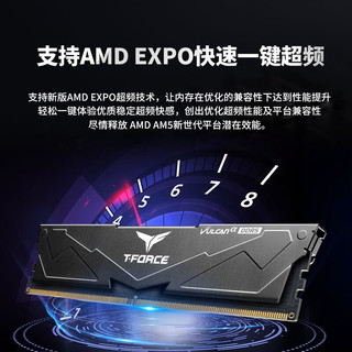 Team 十铨 科技 火神αDDR5 5600 32G(16G