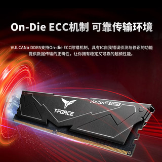 Team 十铨 科技 火神αDDR5 5600 32G(16G