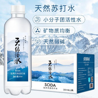 天缘泽水 饮用天然苏打水 350ml