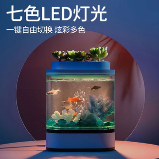 画法几何 有隔间的桌面生态鱼缸 c300裸缸 一键掌控20cm长