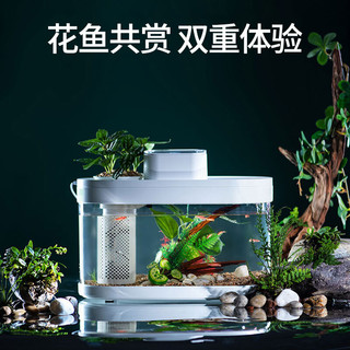 画法几何智能生态鱼缸米家App可控S600带wifi喂食客厅金鱼缸水族箱 c180升级款+青龙石