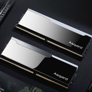 Asgard 阿斯加特 博拉琪 DDR5 6600MHz RGB 台式机内存 灯条 黑色 32GB 16GBx2