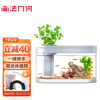 画法几何智能生态鱼缸米家App可控S600带wifi喂食客厅金鱼缸水族箱 c180基础款+活体植物