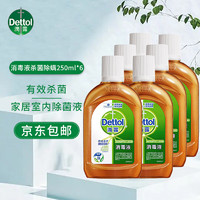 滴露Dettol 消毒液 1.8L 杀菌除螨 家居室内 宠物环境消毒 儿童宝宝内衣 衣物除菌剂 消毒液 250ml*6