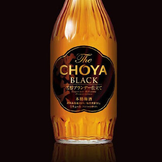 CHOYA 俏雅 黑金 本格梅酒 14%vol