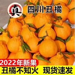 四川丑橘不知火5斤丑八怪橘子丑柑丑桔新鲜水果