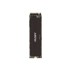 GLOWAY 光威 Professional M.2接口 SSD固态硬盘  2TB（PCIe 4.0 x4）