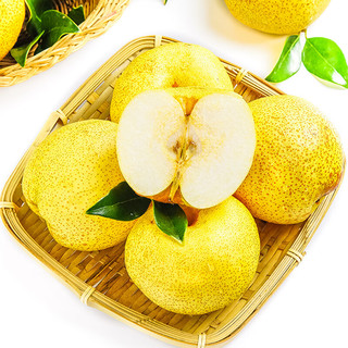 京东生鲜 安徽砀山梨9斤大果（单果200g起）现摘酥梨新鲜水果