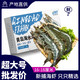 青岛大虾16-18厘米带箱4斤鲜活冷冻大虾海鲜水产批发