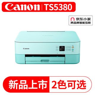 Canon 佳能 TS5380彩色喷墨打印机复印扫描一体机连供无线照片家用办公自动双面 官方标配（粉绿）