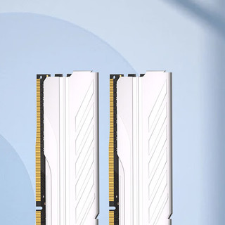 KINGBANK 金百达 银爵系列 DDR5 6400MHz 台式机内存 马甲条 白色 32GB 16GB*2 海力士A-die颗粒