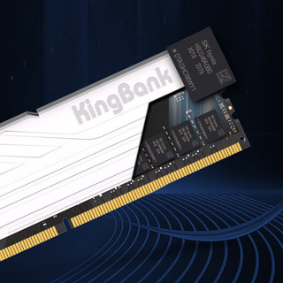 KINGBANK 金百达 银爵系列 DDR5 6400MHz 台式机内存 马甲条 白色 32GB 16GB*2 海力士A-die颗粒