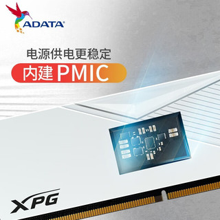 ADATA 威刚 XPG 威龙 LANCER DDR5 6000MHz 32GB（16G*2） 马甲条