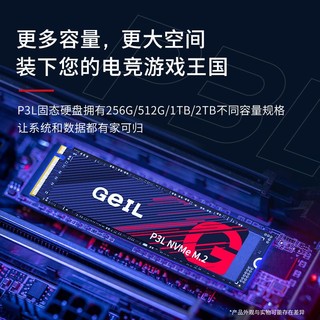 GeIL 金邦 P3L固态硬盘2600  2TB