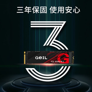 GeIL 金邦 P3L固态硬盘2600  2TB