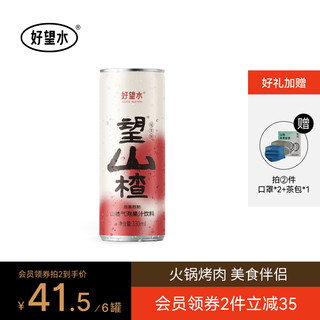 HOPE WATER 好望水 望山楂气泡水气泡果汁0脂肪饮品健康饮料整箱铝罐330ml*6