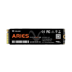 TOPMORE 达墨 ARIES白羊座 NVMe M.2 固态硬盘 1TB（PCI-E4.0）