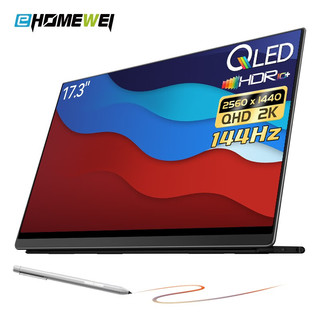 EHOMEWEI 一泓微 Q3gPlus 17.3英寸 IPS 显示器（2560×1440、144Hz、96%DCI-P3）