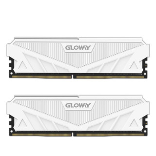 GLOWAY 光威 天策系列 DDR5 6400MHz 台式机内存 马甲条 皓月白 32GB 16GB*2 海力士A-Die CL40