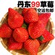 玖玖农场 正宗丹东99草莓2/3斤起现摘单果25g起东港九九草莓